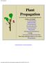 Plant Propagation. An Overview of Asexual Reproduction