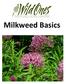 Wild Ones Wild for Monarchs Campaign -- Page 2 Collecting, Shipping, and Growing Milkweed