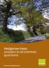 Hedgerow trees: answers to 18 common questions