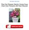 The Cut Flower Patch: Grow Your Own Cut Flowers All Year Round Ebooks Free