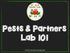 Pests & Partners Lab 101