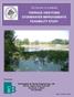THE VILLAGE OF LOMBARD TERRACE VIEW POND STORMWATER IMPROVEMENTS FEASIBILITY STUDY