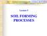 Lecture 5 SOIL FORMING PROCESSES