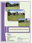 Stewart Castle Development Proposal. Stewart Castle Development Proposal