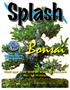Bonsai. Visit our Web Site at   Koi Club Meetings. Santa Clara Valley Koi & Water Garden Club. March 19th, :30 PM
