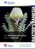Product: Bird s Nest Banksia, Baxter s Banksia Botanical name: Banksia baxteri. Quality specifications for Australian wildflowers