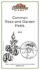 Common Rose and Garden Pests