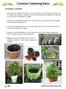 Container Gardening Basics