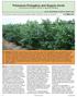 Potassium Fertigation and Organic Acids Improving soil and plant nutrition in highbush blueberry.