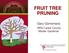 FRUIT TREE PRUNING. Gary Gorremans. WSU Lewis County Master Gardener