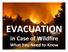 EVACUATION in Case of Wildfire What You Need to Know
