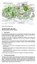 Peter Pan Moat Brae Trust. Neverland Garden, Moat Brae Garden Features, Brief for Artists. 1 Introduction. 2 The Moat Brae Garden