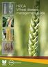 HGCA Wheat disease management guide