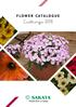 INTRODUCTION CONTENT. Osteospermum 16 x Petchoa 20 Petunia 24. Calibrachoa 4 Dianthus 6 SunPatiens 8 Mecardonia 15. Vigorous Rose Pink Page 11