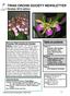 TRIAD ORCHID SOCIETY NEWSLETTER October 2010 edition