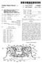SYS. la (k M IFNU C UMAN. United States Patent (19) Gross. JAA 21NY -o. 11 Patent Number: 5,938,086 (45) Date of Patent: Aug.