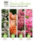 Shrubs of the Year. Growing & Landscape Guide. FIRE LIGHT Hydrangea. AT LAST Rosa. LOW SCAPE Mound Aronia. SONIC BLOOM Weigela series