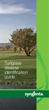 Turfgrass disease identification guide