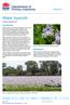 Water hyacinth PRIMEFACT. Introduction. Distribution. Invasive Species Unit