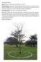 Head Gardeners Report. Activity: Making tree circles around Heritage Tree s in the Park