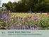 Milton Keynes in Bloom Greener Streets: Better Lives Leigh Hunt, RHS Principal Horticultural Advisor