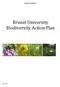 BRUNEL UNIVERSITY. Brunel University Biodiversity Action Plan