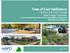 Town of East Gwillimbury Parking Lot & Drive-Through Urban Design Guidelines Background Report