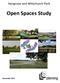 Open Spaces Study November 2017