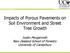 Impacts of Porous Pavements on Soil Environment and Street Tree Growth. Justin Morgenroth New Zealand School of Forestry University of Canterbury