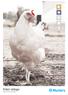 Product catalogue. Solutions for the Poultry segment