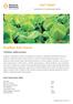 Ovaflow Sub Clover. Trifolium subterranean. Seed agronomy table