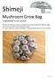 Shimeji. Mushroom Grow Bag. Congratulations on your purchase!