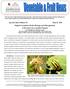 Special Alert Edition #1 May 16, 2018 Striped Cucumber Beetle Biology and Management: A Resource for Cucurbit Farmers