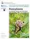 Pennsylvania. Installation Guide and Job Sheet. Conservation Cover (327) for Pollinators. November 2014