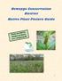 Newaygo Conservation District Native Plant Picture Guide