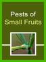Pests of Small Fruits