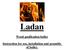 Ladan. Wood gasification boiler. Instruction for use, installation and assembly of boiler.
