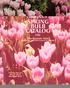 rpee's PRING' 6NBAMG 1981 Pie-Season Sale\ rder beforqune 30th and save on 11 bulbs! EX RA-VALUE BULB SALE See pages 30-33