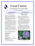 Canal Current. Environmental News. Native Plant profile