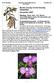 Bucks County Orchid Society Newsletter November 2007