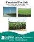 Farmland For Sale 3 Tracts /- acres Webster County, Iowa Section 31, T88N, R30W & Section 33, T88N, R29W