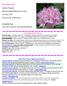OCTOBER Siuslaw Chapter American Rhododendron Society P.O. Box 1701 Florence OR FACEBOOK PAGE CALLED COASTAL RHODODENDRONS