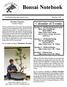 Bonsai Notebook. Calendar of Events. November Programs by Mike Watson. A Publication of the Austin Bonsai Society November 2009