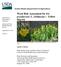 Weed Risk Assessment for Iris pseudacorus L. (Iridaceae) Yellow flag iris