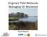 Virginia s Tidal Wetlands: Managing for Resilience. Pam Mason