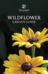 Wildflower Garden Guide