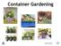 Container Gardening. Angie Mazella